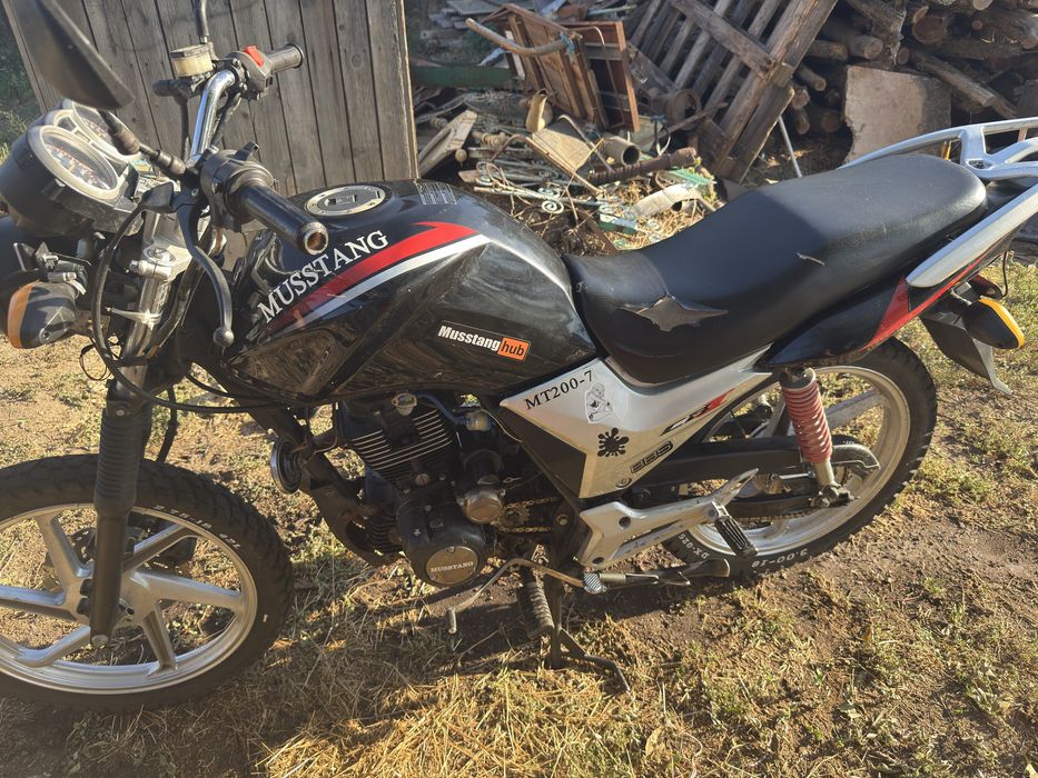 Продам Musstang mt200-7