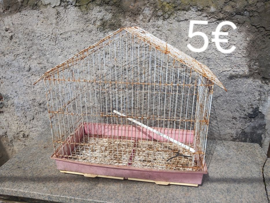 Várias gaiolas para coelhos,porcos da Índia ...