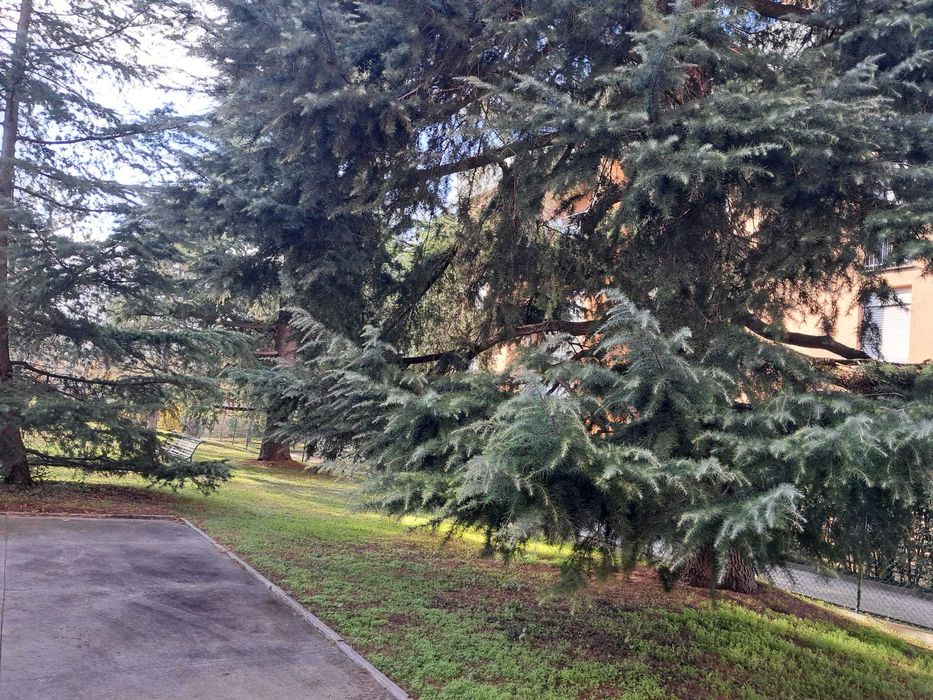 6 кімнат. квартира в елітному районі біля парку в місті Імола (Італія)