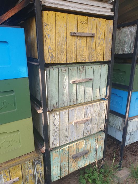 Ule wielkopolskie 10r Poławiacze  PYŁKU DENNICIOWE w komplecie