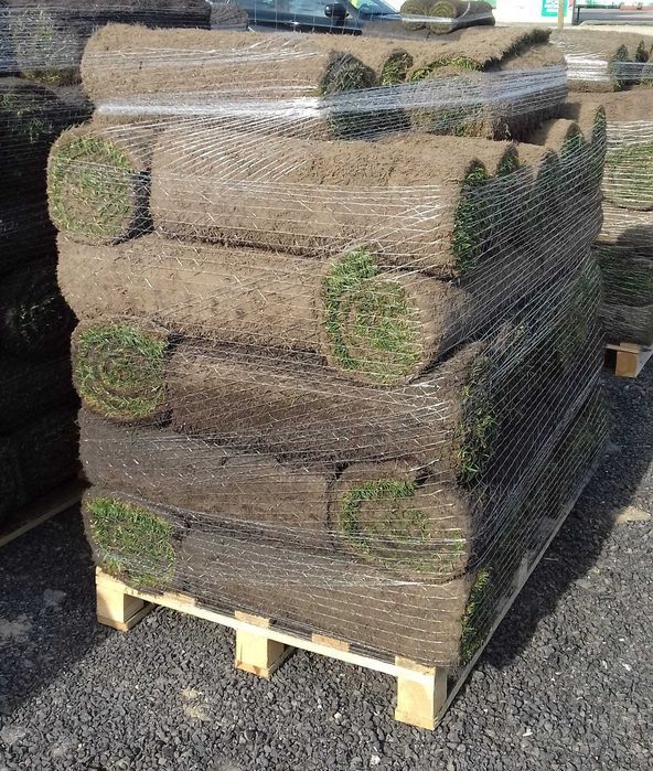 Trawa w rolce m2 Kraków małopolskie www.gardenlawn.pl/trawa-w-rolce