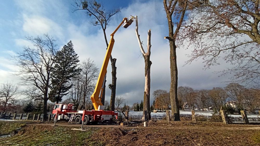 Wycinka drzew, rębak, frezowanie pni, mobilny tartak, trak