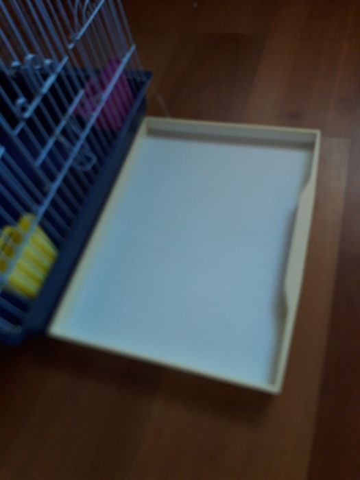 Gaiola para papagaio