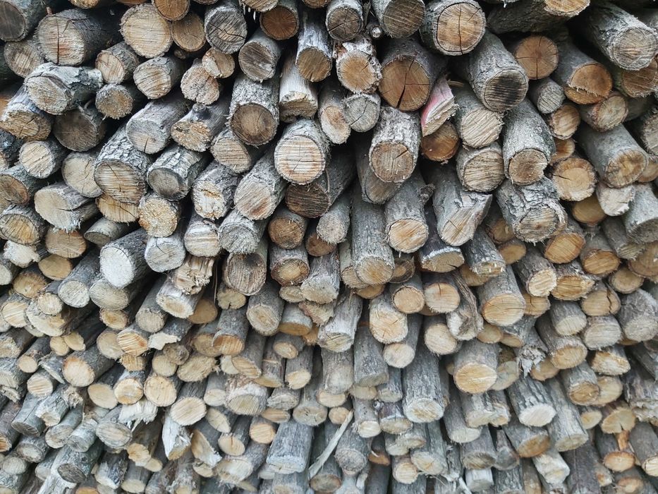 dąb kominkowy suchy drobny gałęziówka