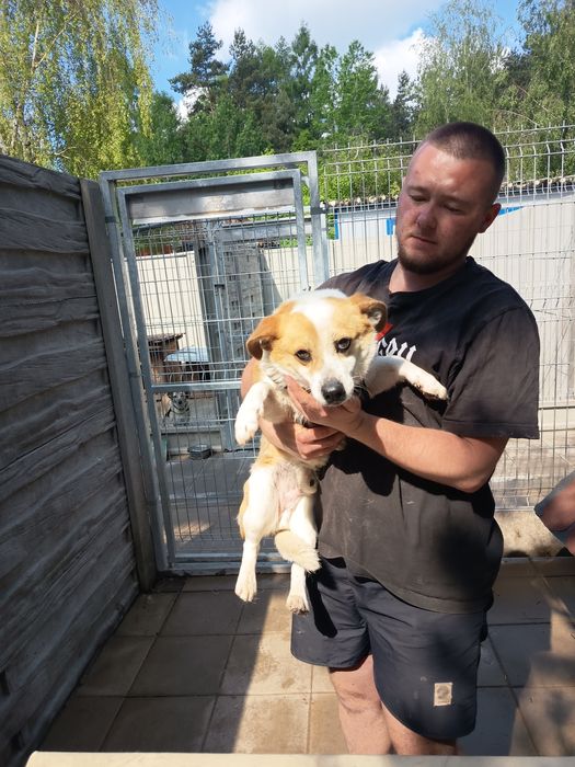 3letni Driver, 10 kg adopcja za darmo oddam