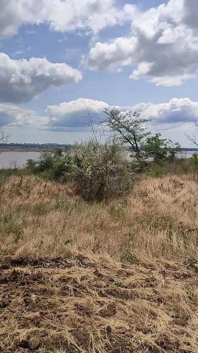 Продам землю 4.5 га в Межлиманьерядом с Одессой