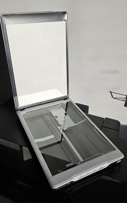 Skaner EPSON Perfection V19