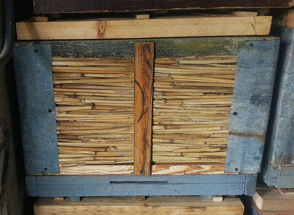 Корпуси з камишa.