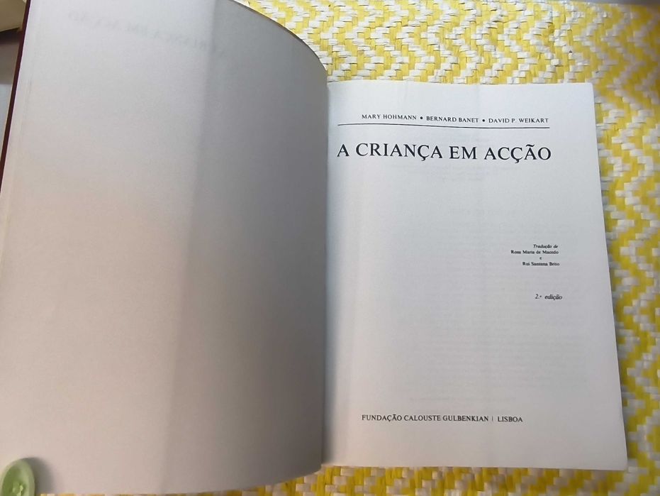 A CRIANÇA EM ACÇÃO – 
Mary Hohmann - Bernard Banet - David F. Weikart