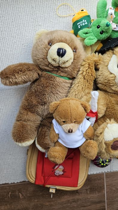 Pluszaki maskotki miś