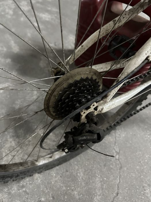 Bicicleta World bike tour