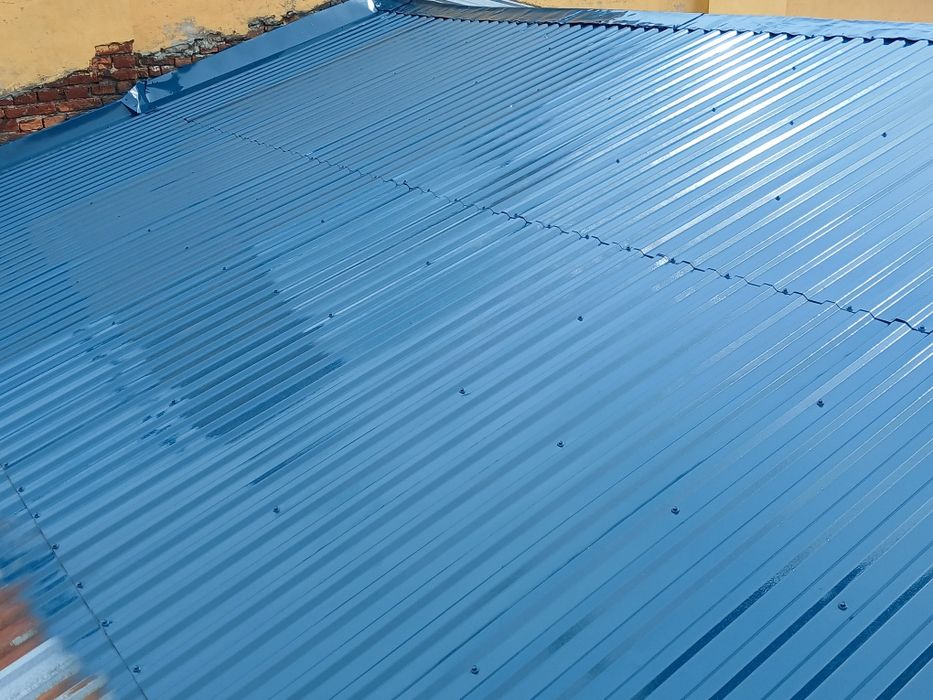 Фарбування дахів.