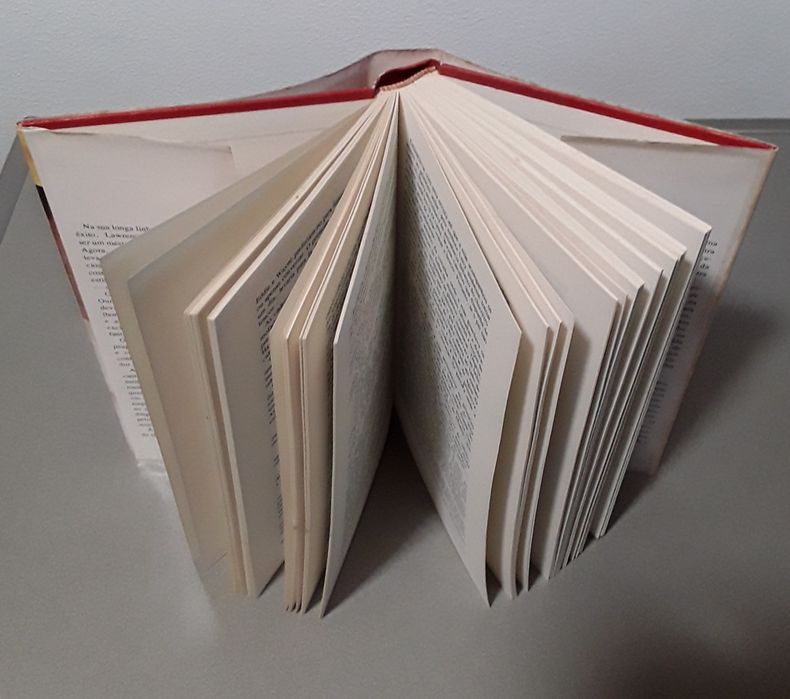 Livro: O Caso de Lucy Bending, de Lawrence Sanders