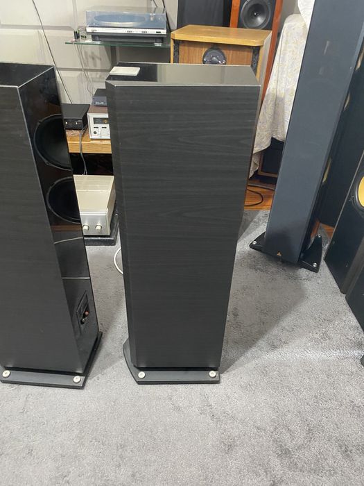 Focal chorus 826v dark ebony