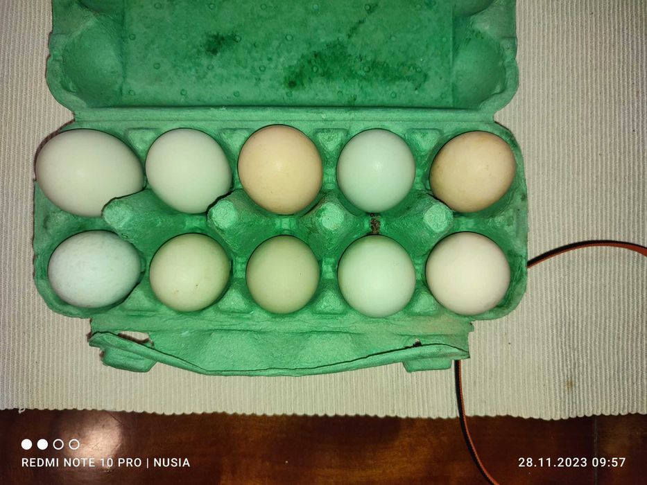 Jaja wiejskie, jajka od kurek ,na wolnym wybiegu