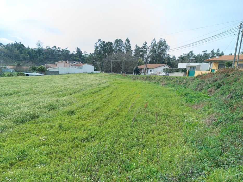 Terreno em Fornos, Sta Maria Feira c/ 80 metros de frente