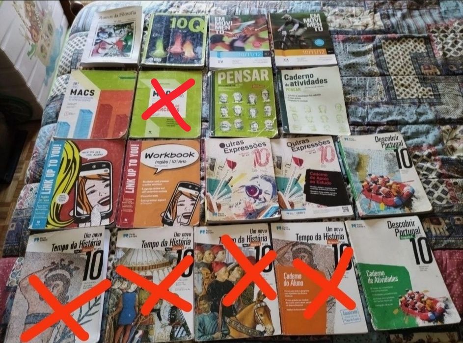 Manuais e cadernos de atividades 10°,11° e 12 °ano