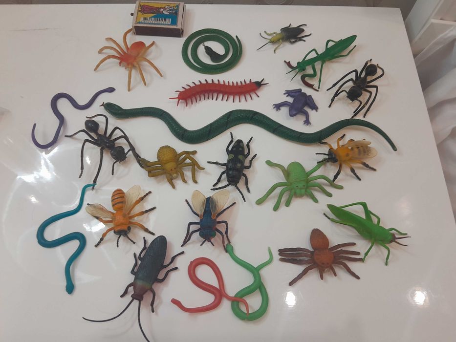 Тварини Животные домашние дикие