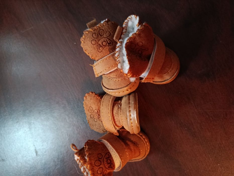 Сапожки для маленькой собачки