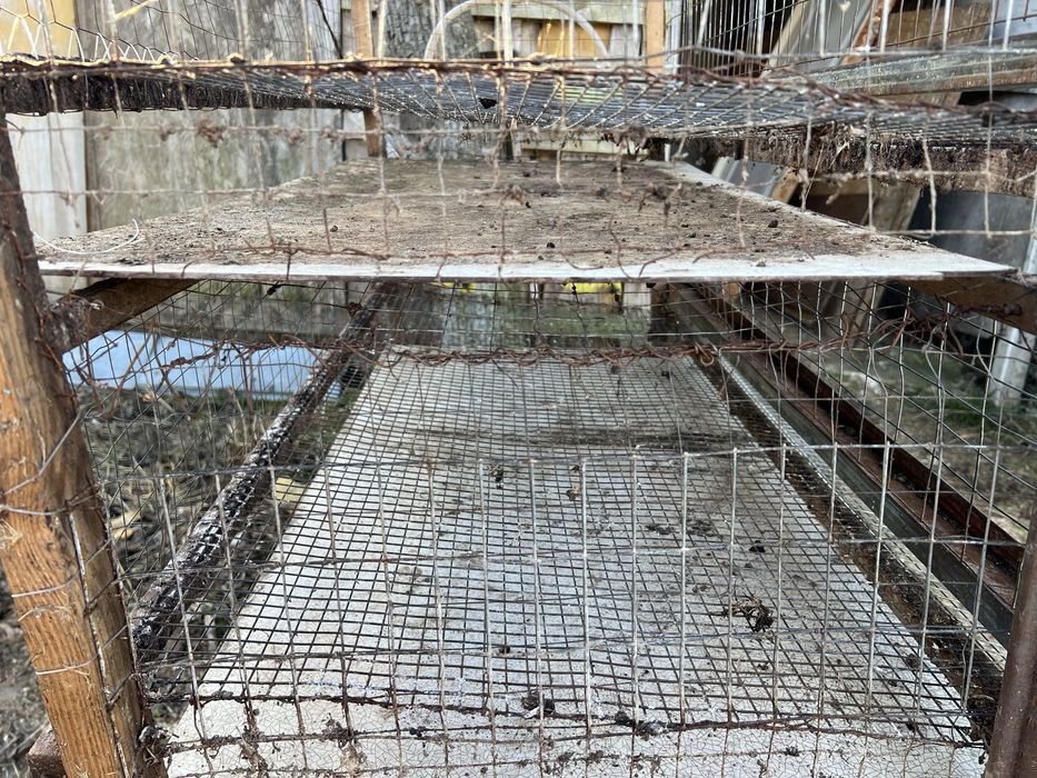 Клетка для перепелов