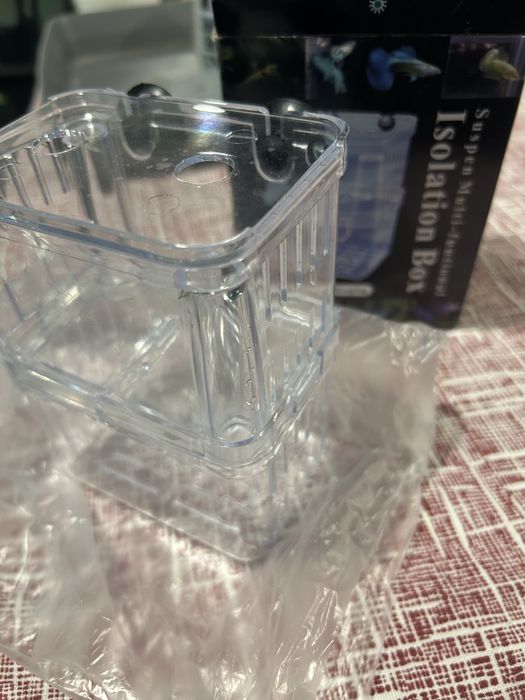 Maternidade peixes pequenos