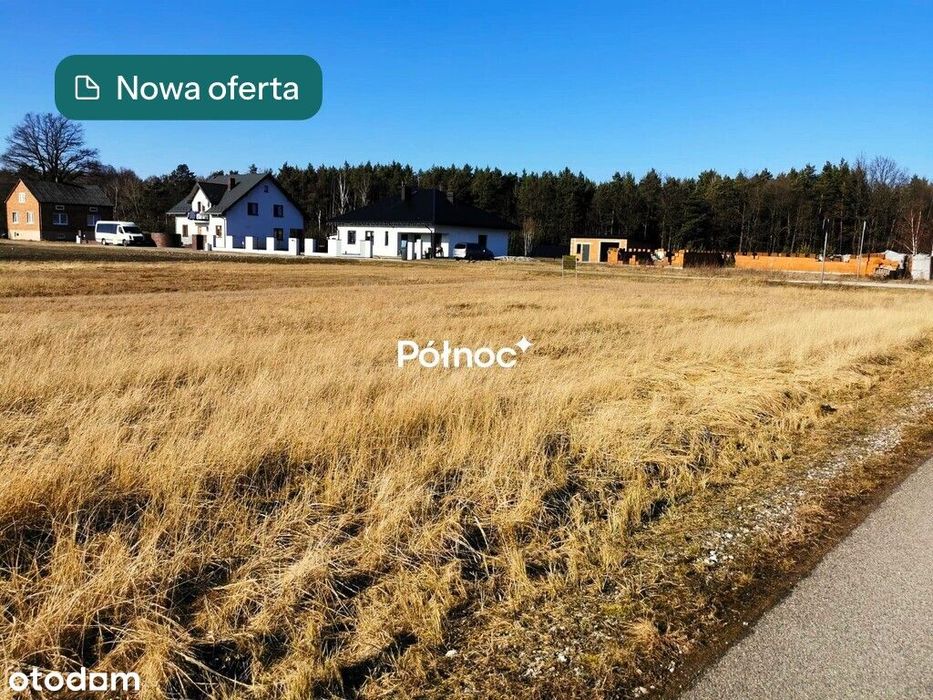 Działka 3883 m² wśród zieleni z WZ– Wólka Pytowska