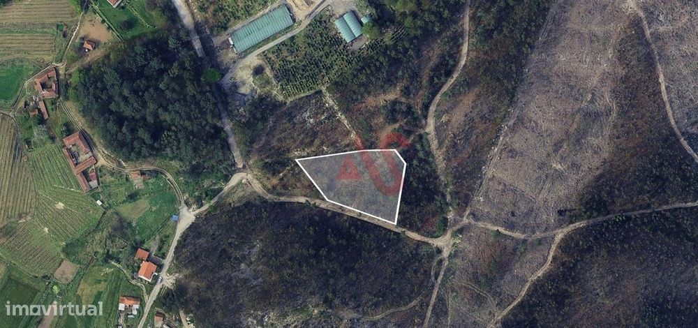 Forest Land Plot of 3300 m² in Silvares, Lousada