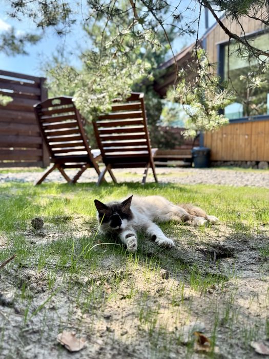 СЬОГОДНІ ВІЛЬНО | Будиночок з чаном у лісі — для двох, 15 хв від Києва