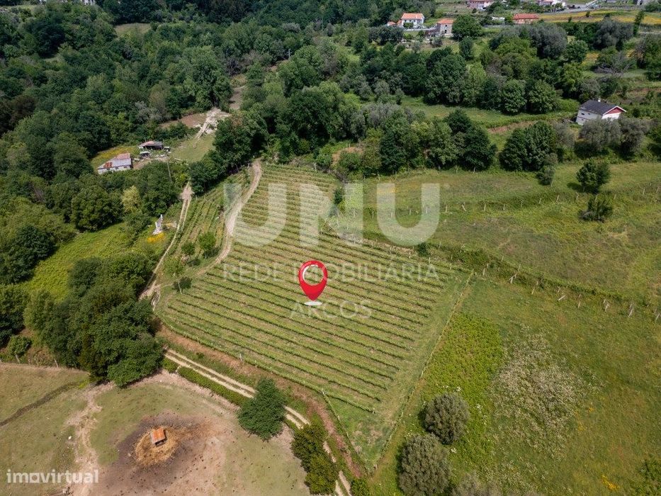 Quinta Vinícola
