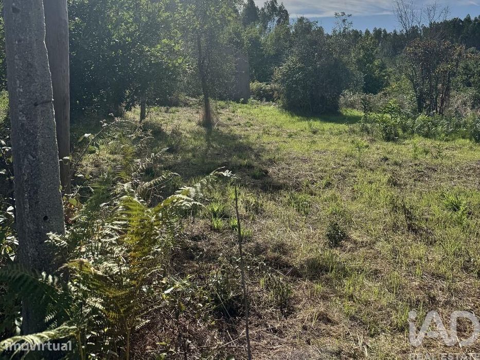 Moradia isolada em Graça de 63 m2