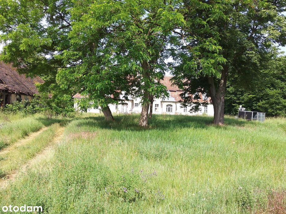 Pałac,dwór,folwark+3,1 HA park PÓŁWYSEP otoczony jeziorem-Lubuskie-HIT