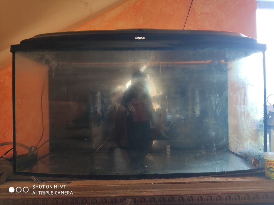 Akwarium panoramiczne 200l + filtr Tetra + lampa UV+gratisy