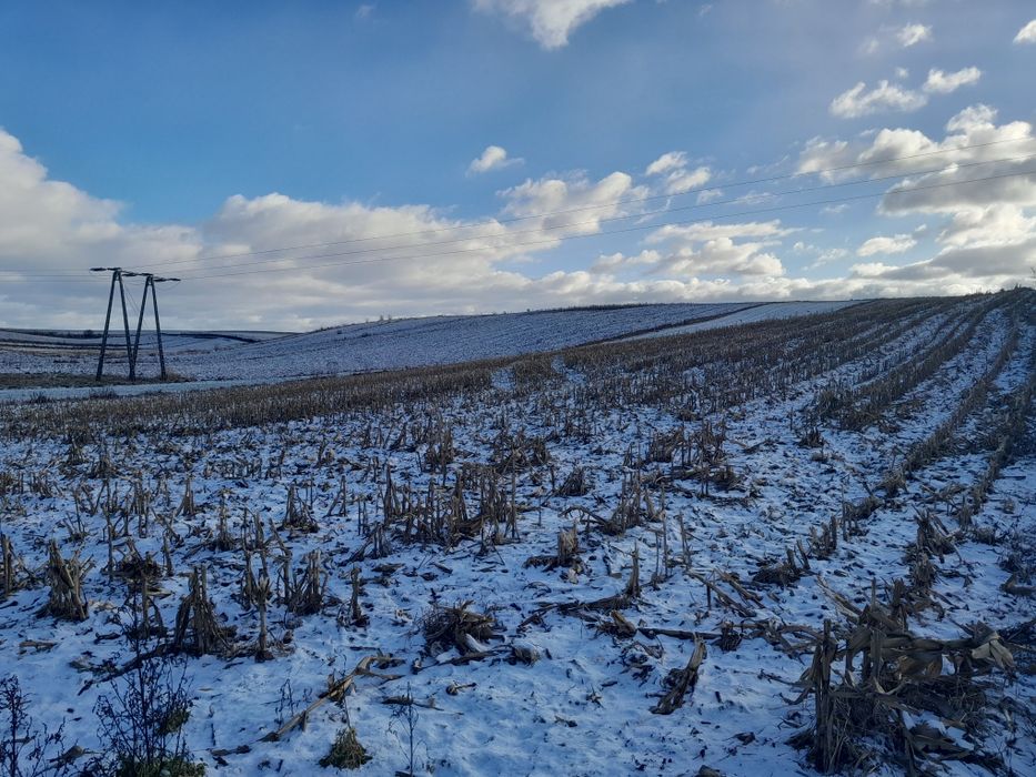 Pole orne 1,6h Jakubowice