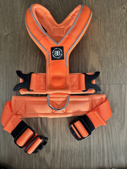 BullyBillows Slip on Harness Color Светоотражающая анатомическая шлея
