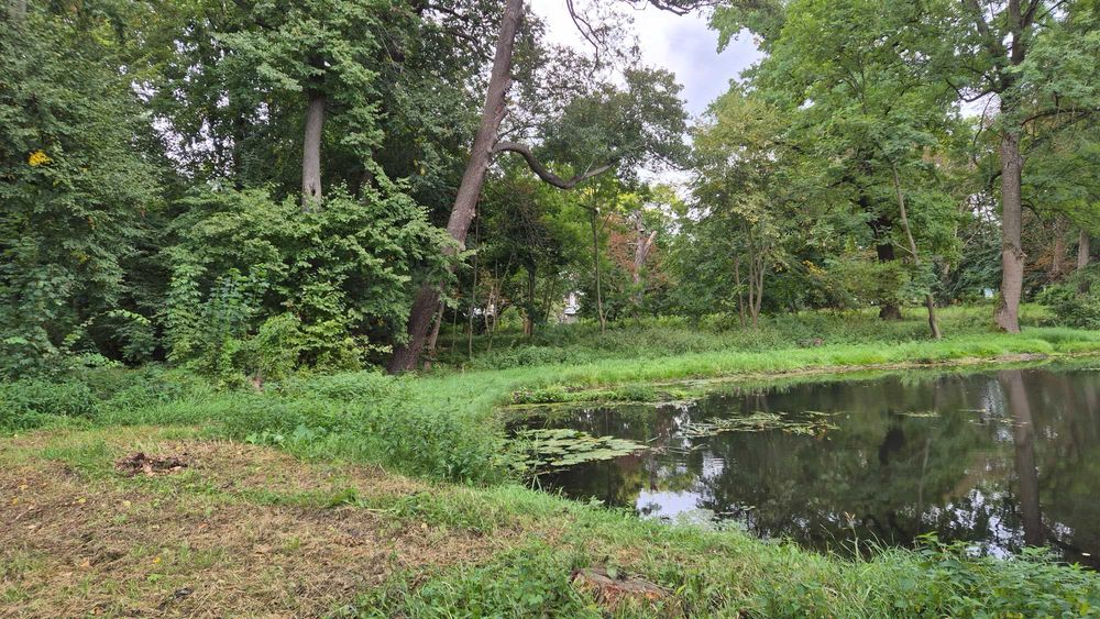Zdjęcie 8
