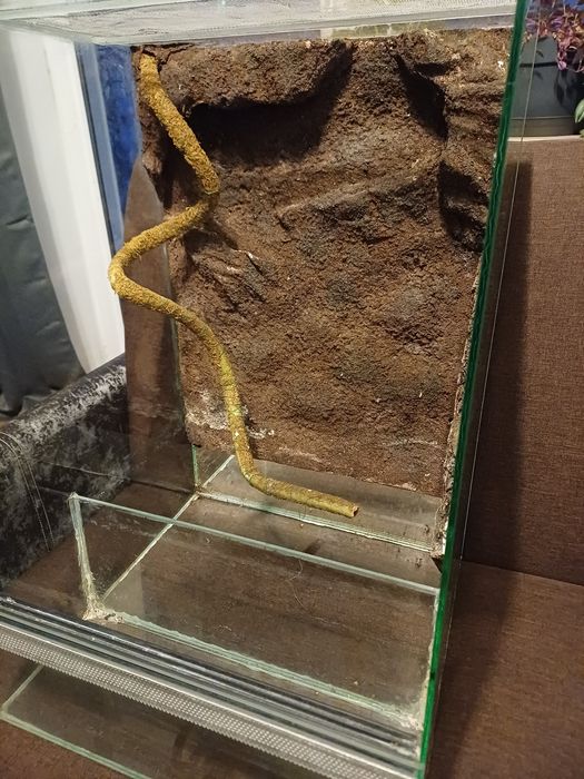 Terrarium 45x45x60