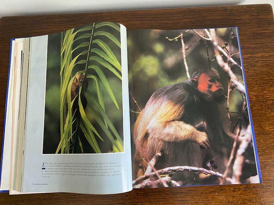 Paraísos do Mundo Animal – National Geographic Society
