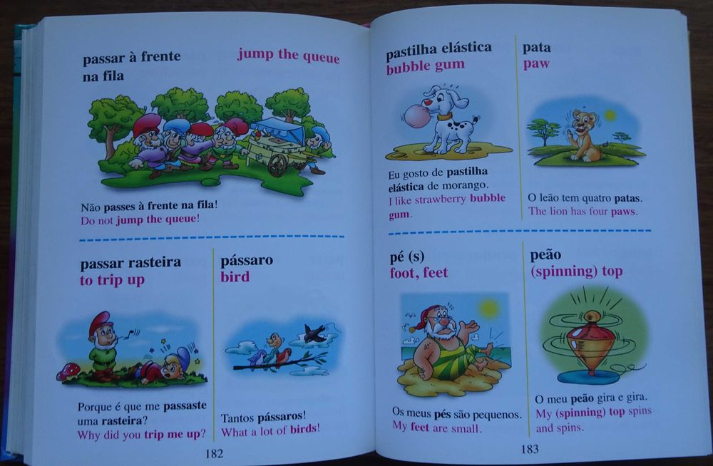 Dicionário Português Inglês Ilustrado - Primeira Biblioteca