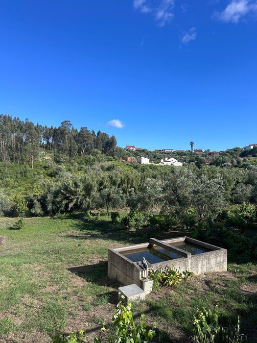 Garagem com 1.200 m² de Terreno e Furo em Carvalhal, Abrantes | Potencial para transformação em Moradia