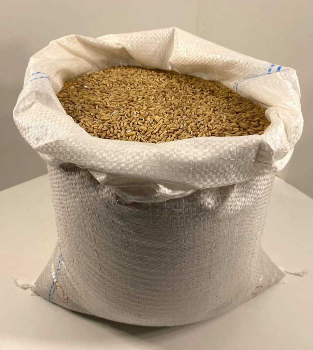 Kasza Owsiana Prozdrowotna Pęczak Wzmacniająca 20 KG bez Glifosatu