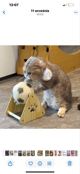 Zabawka- drapak dla kota