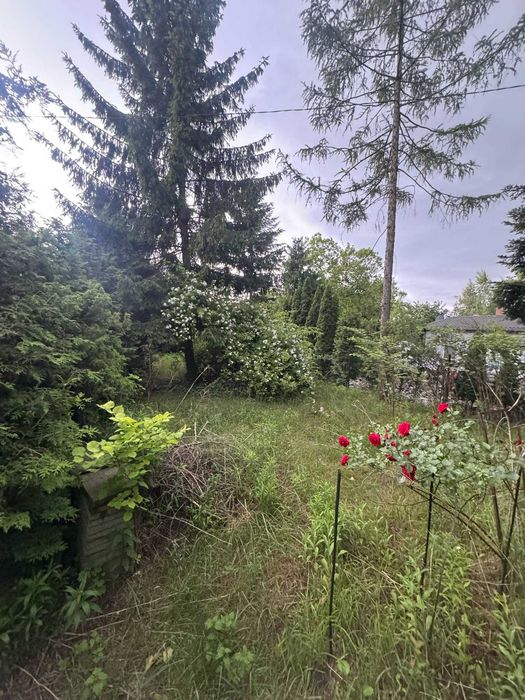 Sprzedam na Chojnach nieruchomość zabudowaną. - View 4