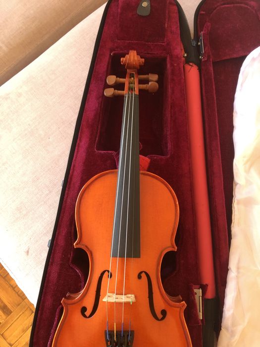 Violino infantil iniciante