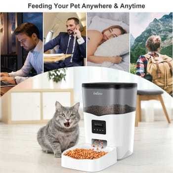 Distribuidor de alimentos Balimo WIFI 3L, preto, para gatos/cães