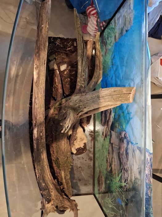 Terrarium dla jaszczurki węża 80x45x35