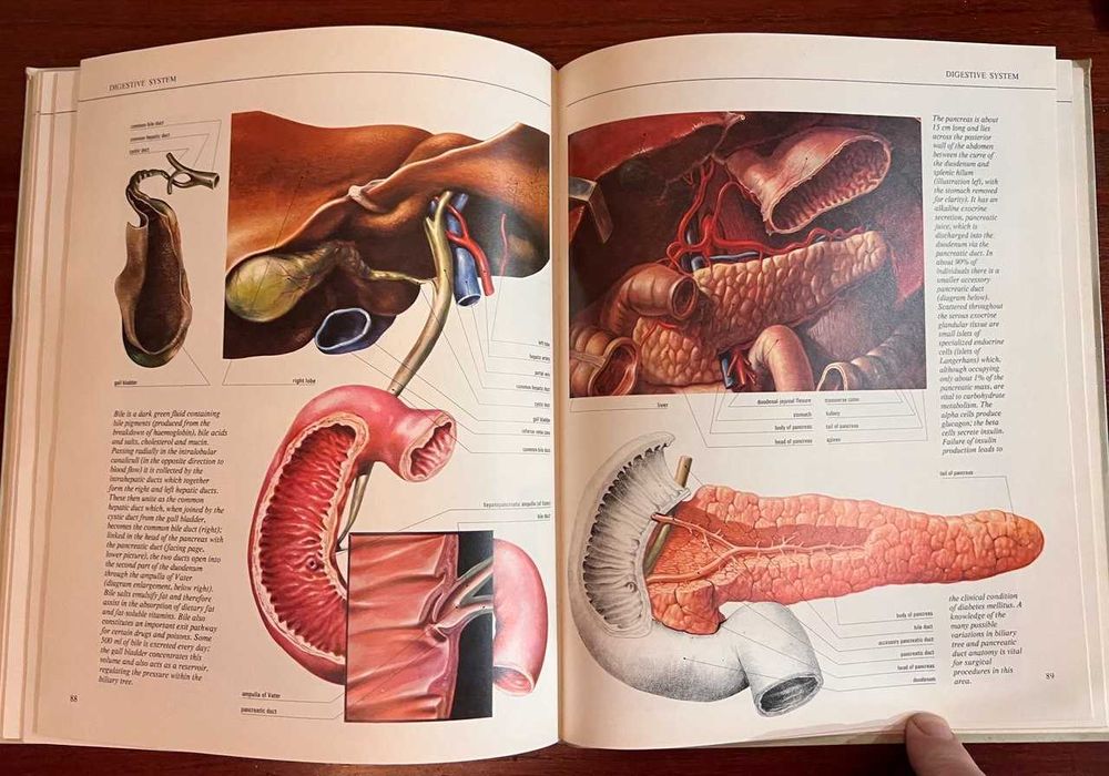 Оригинальное винтажное издание "Атлас анатомии The New Atlas of the Human Body" (1980) на английском