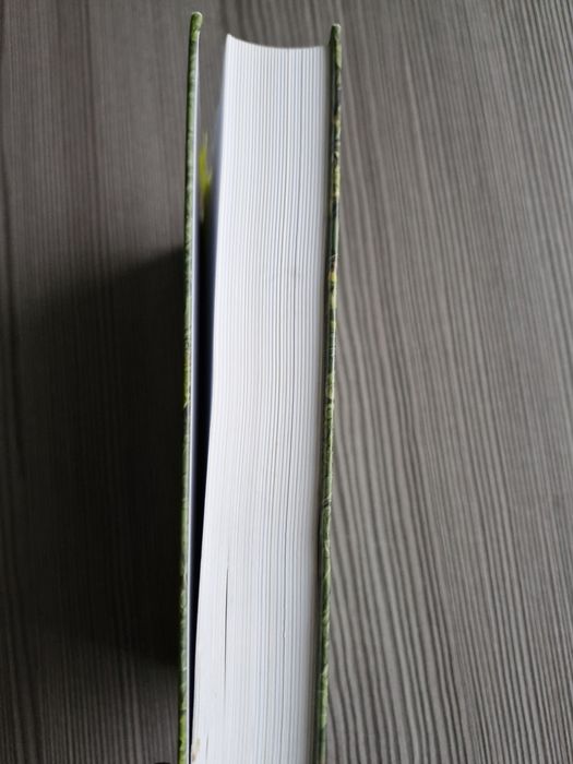8667. "Wiersze największej nadziei" Ks.Jan Twardowski