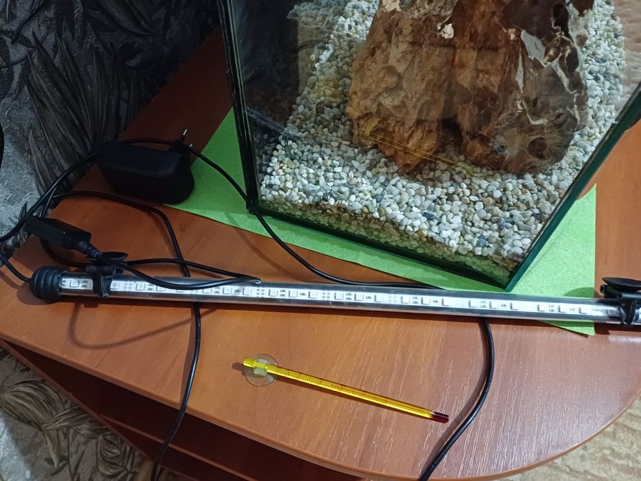 Террариум большой