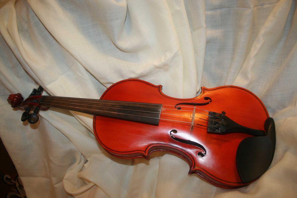 Майстрова скрипка 3/4 + чехол