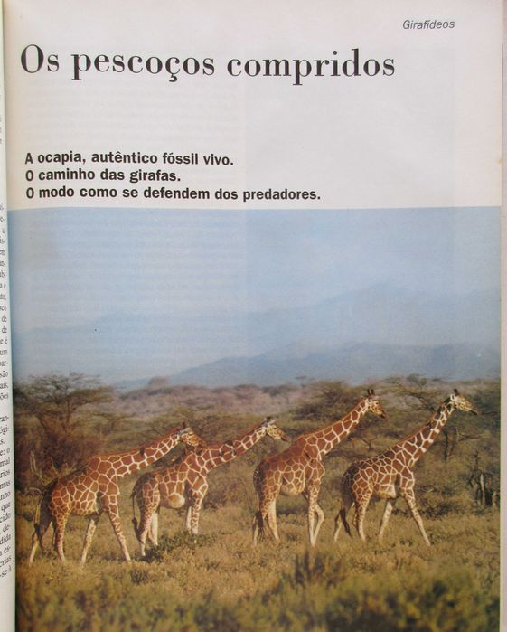 Os Animais - - - - - - - - Enciclopédia